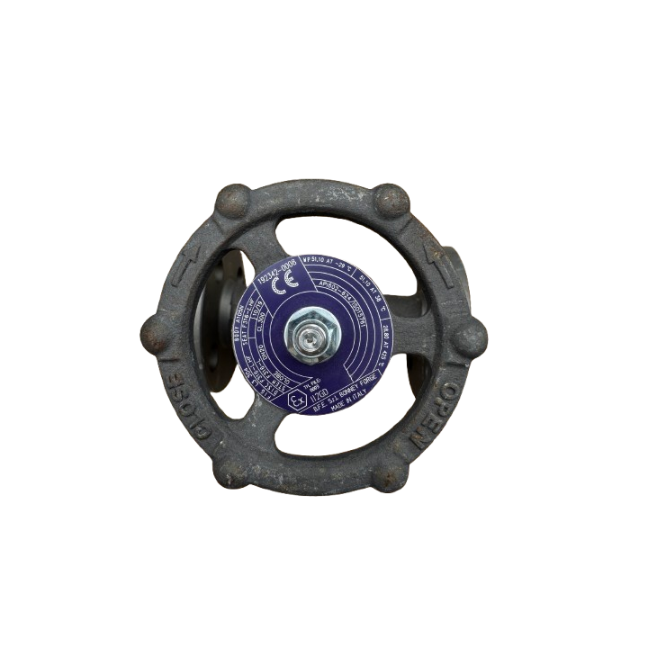 Ventil uzavírací přímý GLOBE Bonney Forge DN20, Class 300, přírubový, A105N
